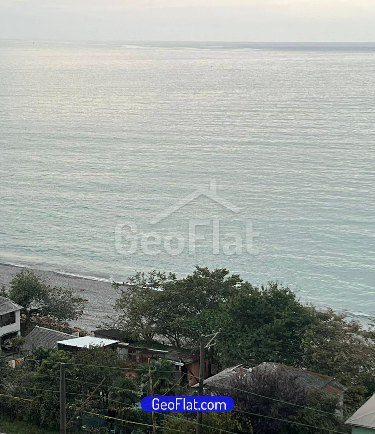 e77b07a8-582a-4495-b541-729bb5fd09cf